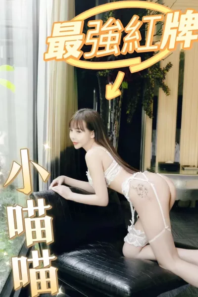 台中定點茶-小喵喵 台中定點茶-小喵喵